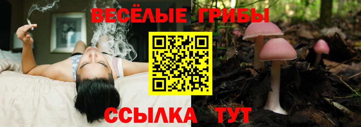 Галлюциногенные грибы ЛСД Екатеринбург